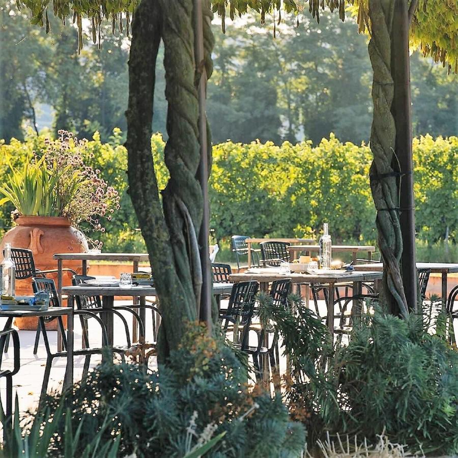 فيلا Dimora Buglioni Wine Relais سان بيترو في كاريانو المظهر الخارجي الصورة