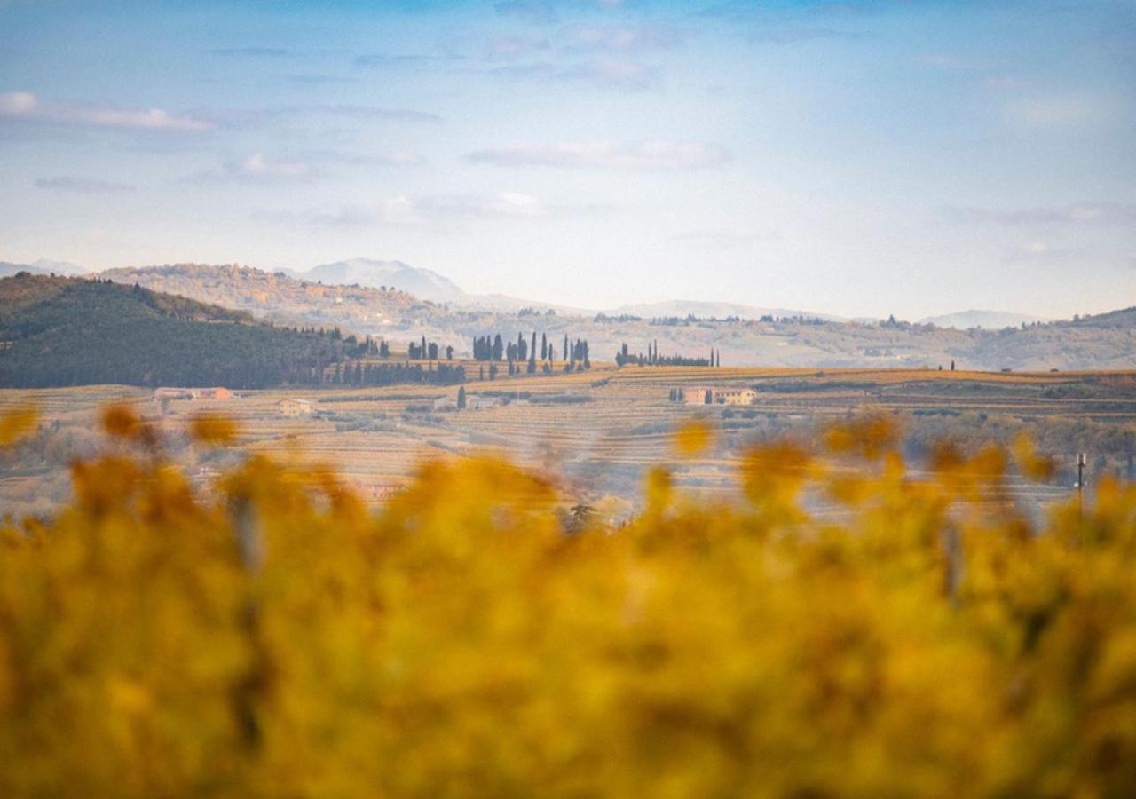 فيلا Dimora Buglioni Wine Relais سان بيترو في كاريانو المظهر الخارجي الصورة
