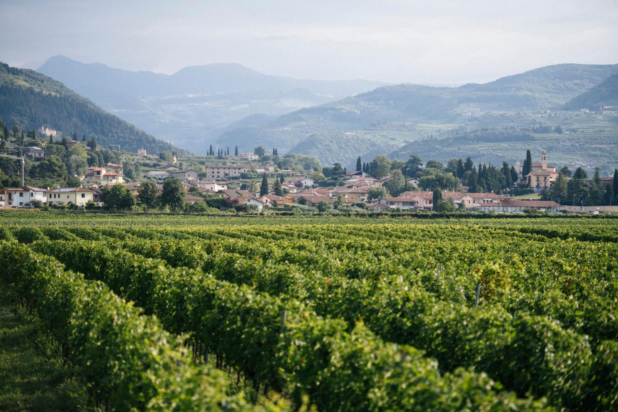 فيلا Dimora Buglioni Wine Relais سان بيترو في كاريانو المظهر الخارجي الصورة